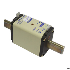 holec-hh-P4GF125-1-fuse-link-(New)