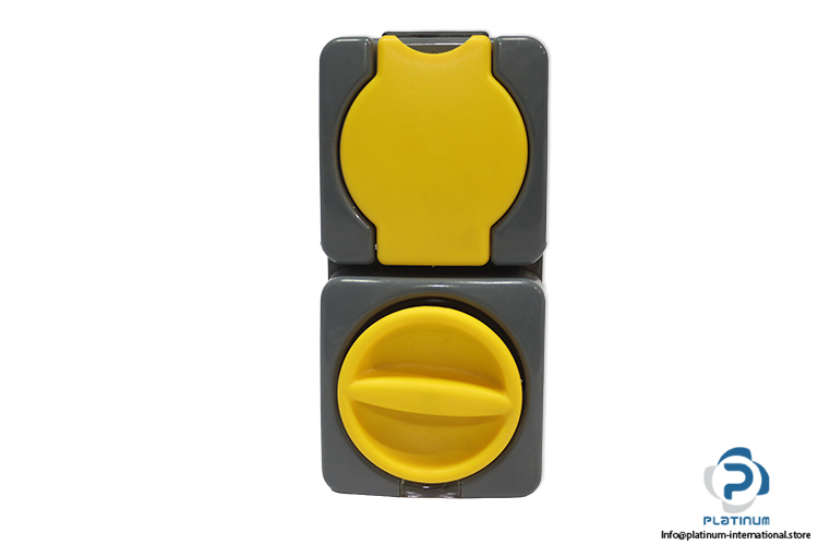 berker-4246-socket-outlet-(New)-1