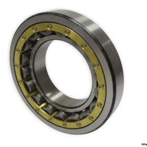 dkfddr-NU-226-E-cylindrical-roller-bearing-(new)