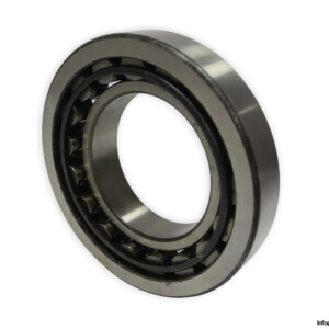 dkfddr-NU-226-cylindrical-roller-bearing-(used)