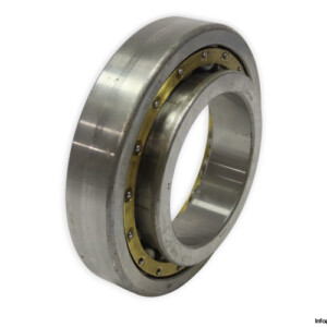 dkfddr-NJ-222-E-cylindrical-roller-bearing-(new)