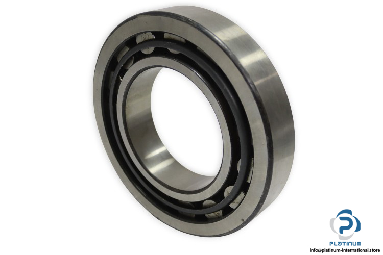 dkfddr-NJ-222-cylindrical-roller-bearing-(new)-1