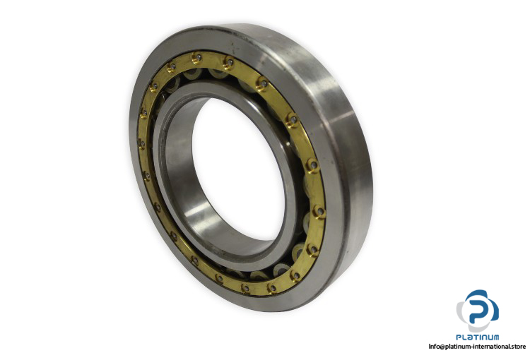 dkfddr-NJ-230-E-cylindrical-roller-bearing-(new)-1