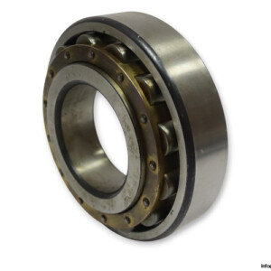 FAG N 317 BL Cylindrical Roller Bearing