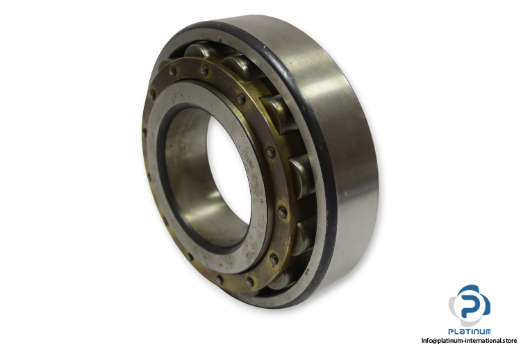 fag-N-317-BL-cylindrical-roller-bearing-(used)