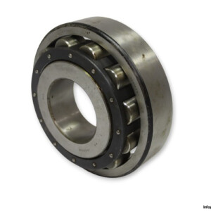 Jaeger NS70 Cylindrical Roller Bearing