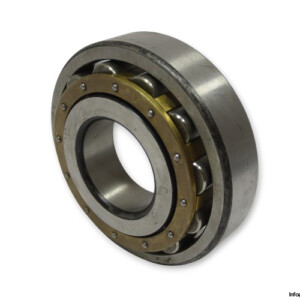 Jaeger NS65 Cylindrical Roller Bearing