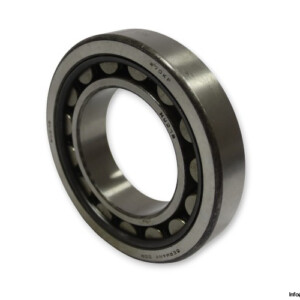 dkfddr-NU-218-cylindrical-roller-bearing-(new)