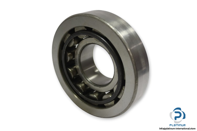 dkfddr-NU-413-P6-cylindrical-roller-bearing-(used)