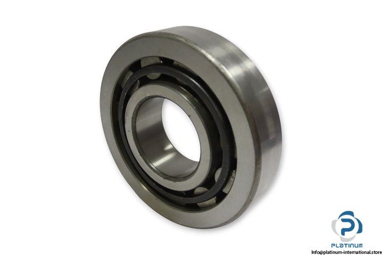 dkfddr-NU-413-P6-cylindrical-roller-bearing-(used)-1