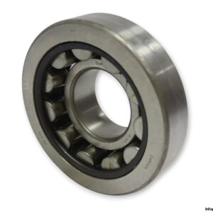 Dkfddr NU 413 Cylindrical Roller Bearing