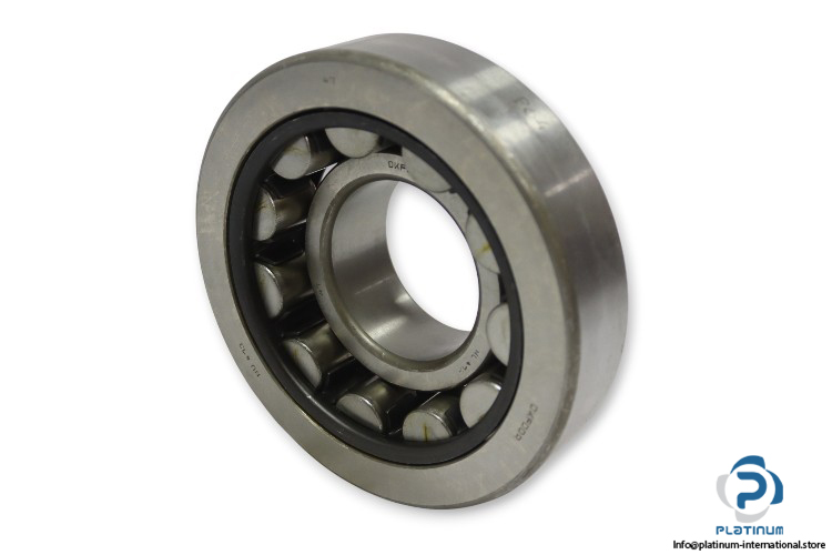 dkfddr-NU-413-cylindrical-roller-bearing-(new)