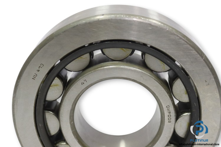 dkfddr-NU-413-cylindrical-roller-bearing-(new)-2
