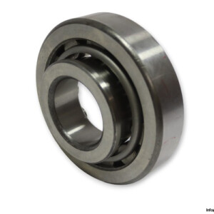 skf-NJ-411-cylindrical-roller-bearing-(used)