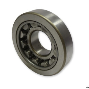 skf-NUS-60-cylindrical-roller-bearing-(new)