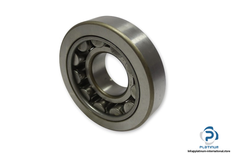 skf-NUS-60-cylindrical-roller-bearing-(new)