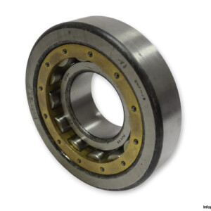 Dkfddr NUS 65 Cylindrical Roller Bearing