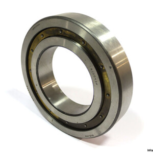 Hoffmann R220LLV3M Cylindrical Roller Bearing
