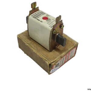 bogenschutz-NH00-TF-100a-fuse-link-(New)