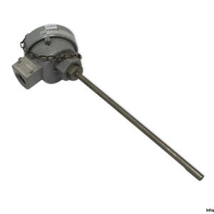 Ascon ZTR-22A/2P Temperature Sensor PT100
