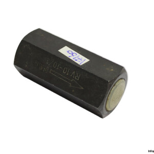 fag-rv10-10-1-check-valve(used)