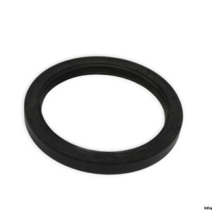 pantecnica-an.din-as-80x100x10-nbr-radial-shaft-seal(new)