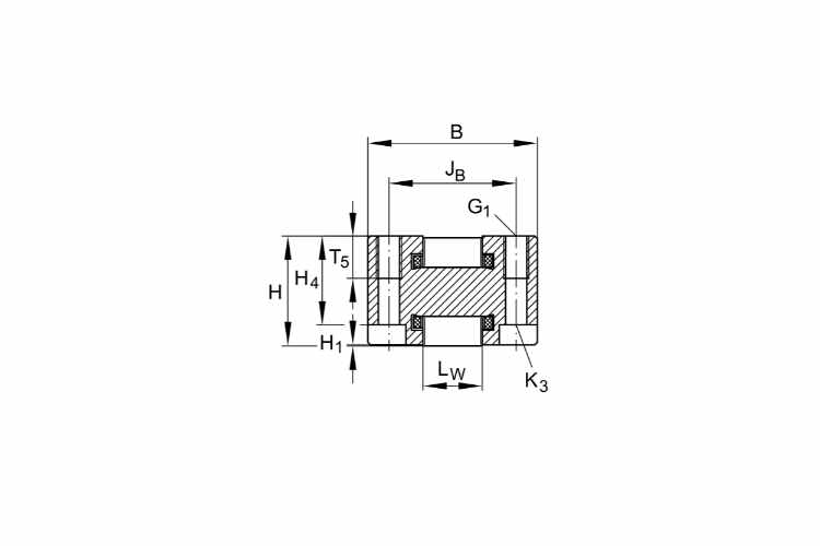 ina-RUS-19069-GR-3-linear-recirculating-roller-bearing-unit-(used)-2