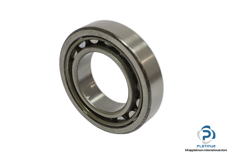 steyr-NU-210-cylindrical-roller-bearing-(new)-(carton)