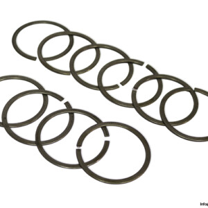 fag-SP40-bearing-ring-(new)-(carton)