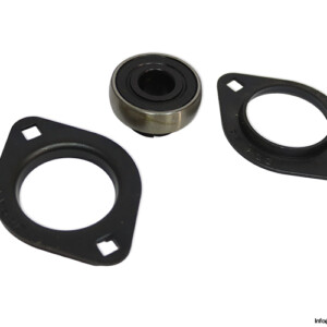 ntn-M-ASPFL202-pressed-steel-oval-flange-unit-(new)-(carton)