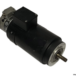 Leeson M71-12 Permanent Magnet Motor