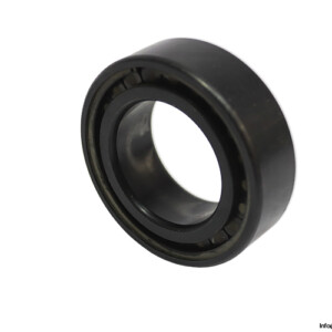 ina-SL-18-3008-A-C3-cylindrical-roller-bearing-(used)