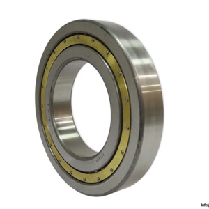 Dkfddr NJ 232 E Cylindrical Roller Bearing
