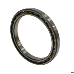 Elges 61819 Y Deep Groove Ball Bearing