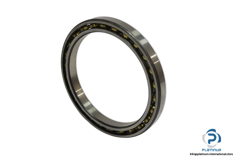 elges-61819-Y-deep-groove-ball-bearing-(new)