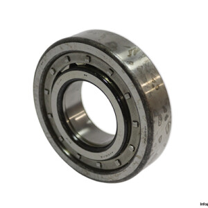 RIV 11DBV/Z Cylindrical Roller Bearing