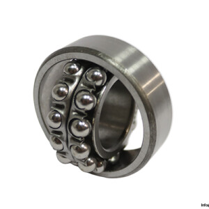GPZ 1507 (2207) Self-Aligning Ball Bearing