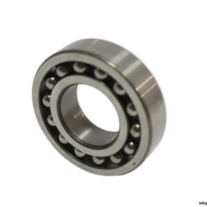 SKF 1206 ETN9 Self-Aligning Ball Bearing