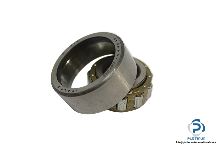 riv-NF-2203-MC3-cylindrical-roller-bearing-(new)-(carton)
