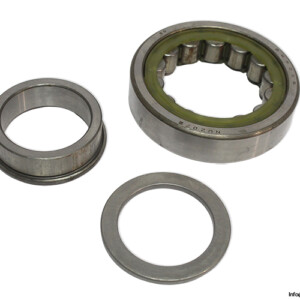 Dkfddr NUP 207E Cylindrical Roller Bearing