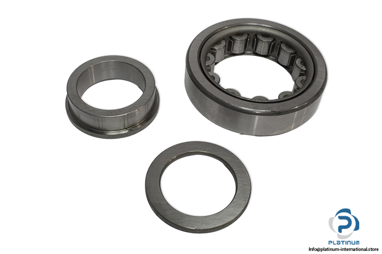 nsk-NUP-309-cylindrical-roller-bearing-(new)
