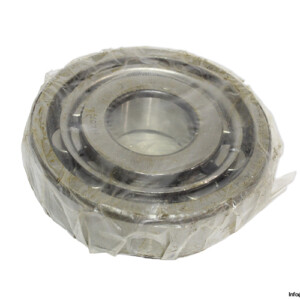 steyr-N-407-cylindrical-roller-bearing-(new)-(carton)