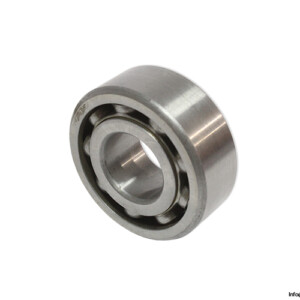 RIV 1 AA Deep Groove Ball Bearing