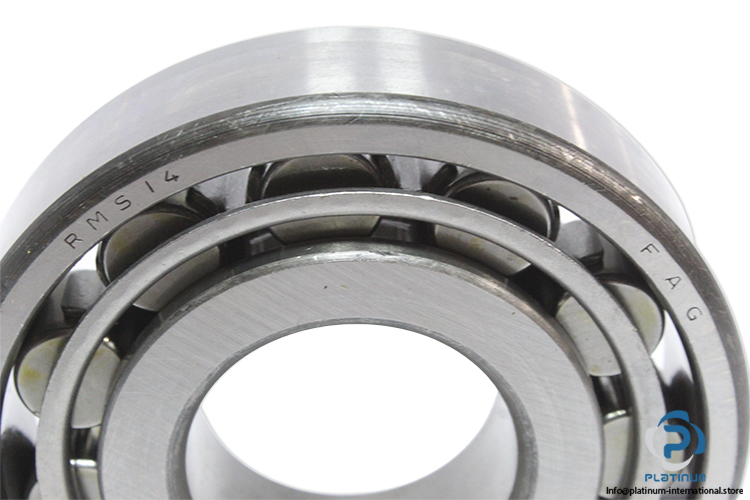 fag-RMS-14-cylindrical-roller-bearing-(new)-2