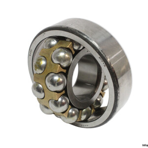 RIV 6496 Self-Aligning Ball Bearing