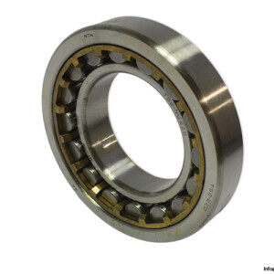 NTN TS2-NU 220 Cylindrical Roller Bearing