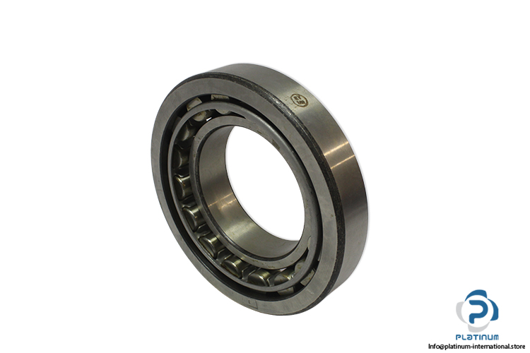 flt-NU-220-cylindrical-roller-bearing-(new)