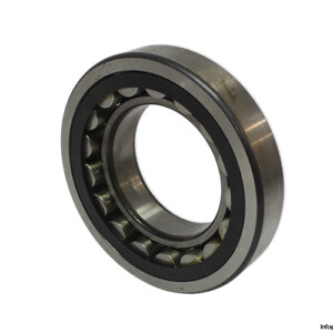 FAG NU 220E.TVP2 Cylindrical Roller Bearing