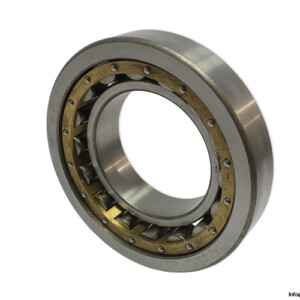 Dkfddr NJ 220 Brass Cylindrical Roller Bearing