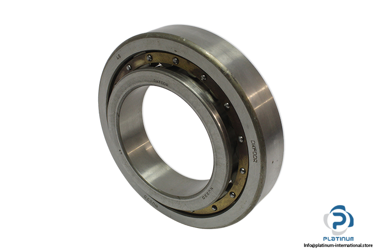 dkfddr-NJ-220-brass-cylindrical-roller-bearing-(new)-1